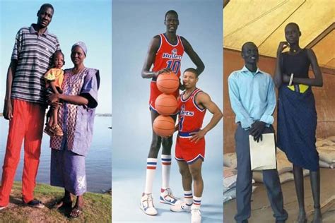 tallest tribe africa|tallest person from south sudan.